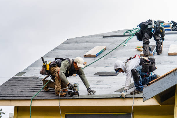 Professional Roof Replacement technician working in Hanover, MI